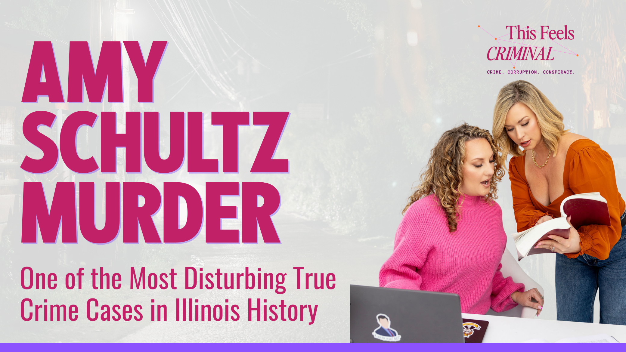 Amy Schulz murder case Kell Illinois 1987